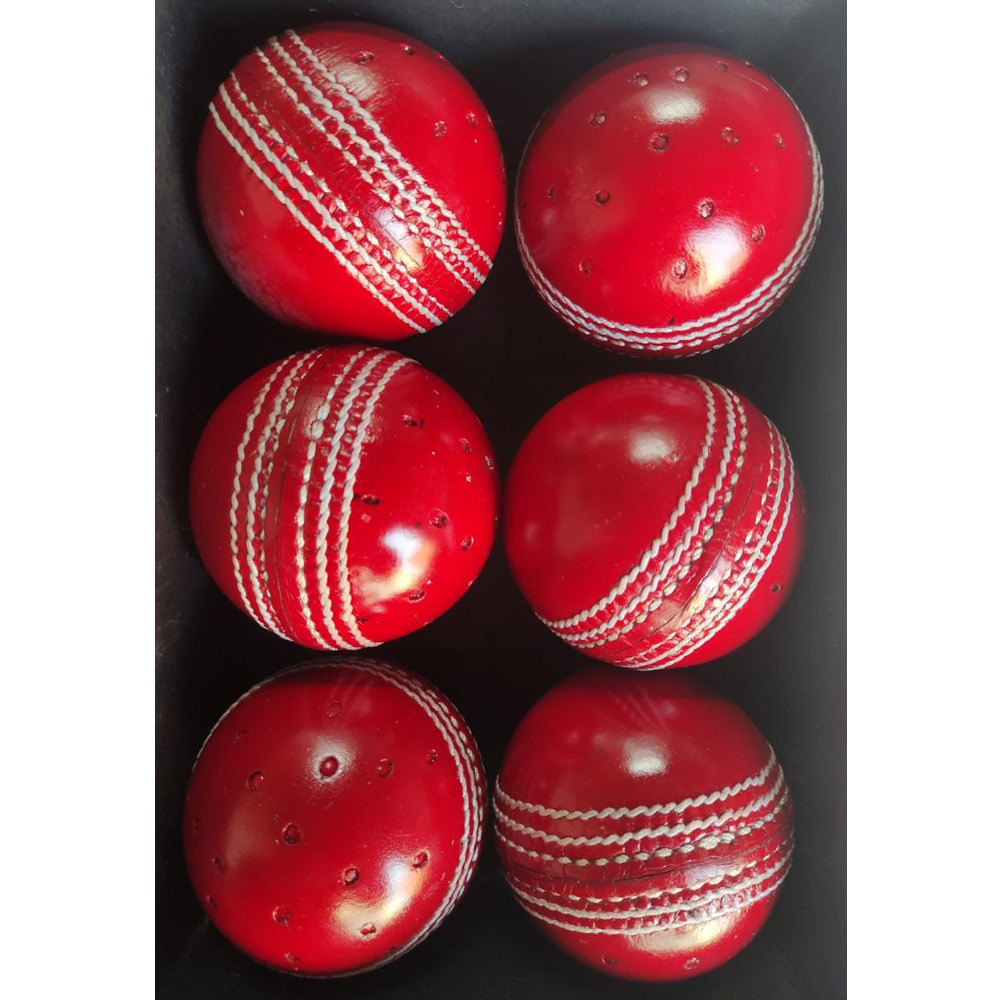 Swinger Cricket Ball for Training & Coaching