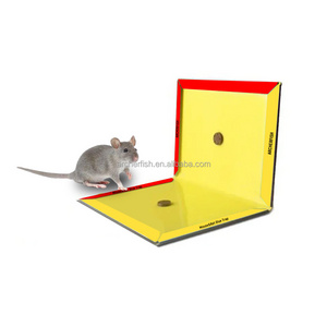 Rat glue traps, Mouse glue boards