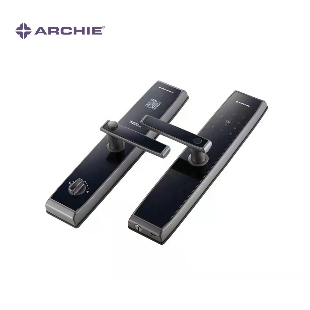 ARCHIE Fingerprint Handle Lock Support Temporary Password Dual-Unlock ...
