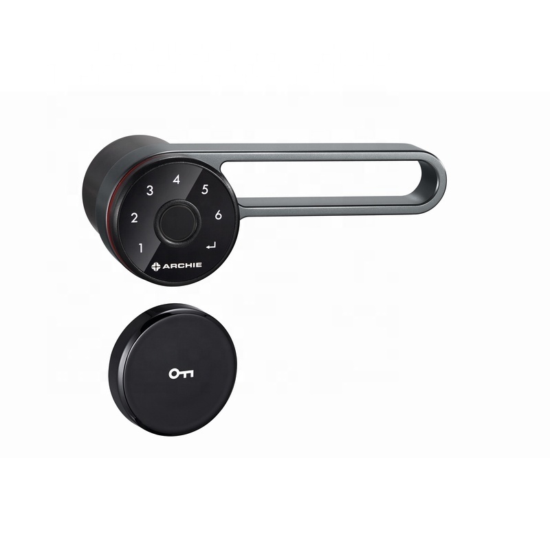 Intelligent Digital Electric Door Handle Smart Bio Fingerprint Door Lock Outside Keyless Door Lever Locks