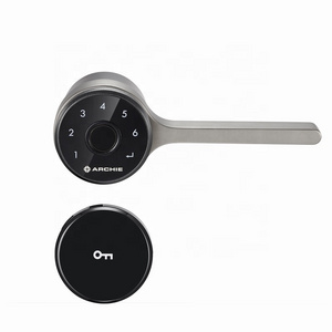 Digital Electric Door Handle Smart Bio Fingerprint Door Lock Digital Outside Keyless Combination Lever Door Lock