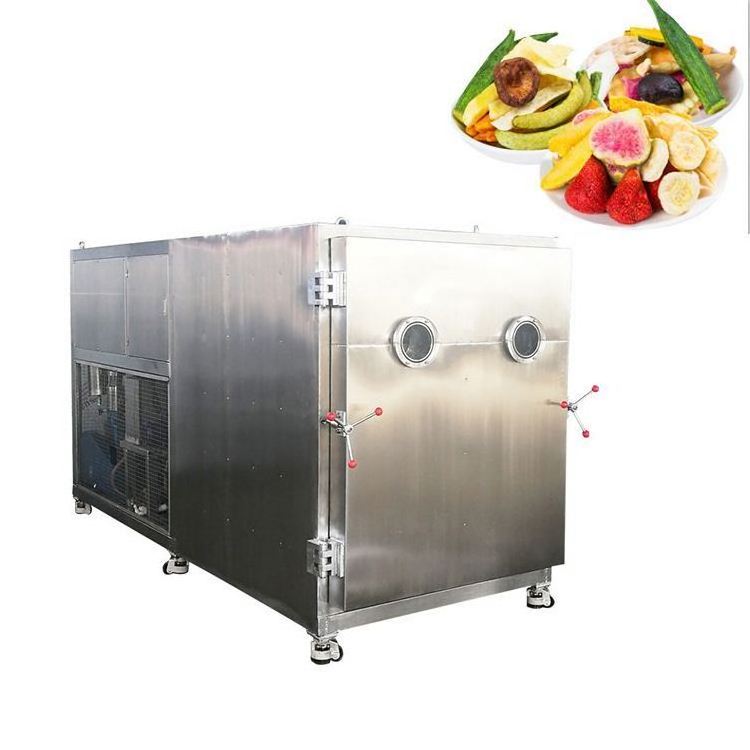 Industrial Vacuum freeze drying machine dryer for food fruit