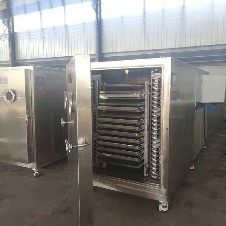 Industrial Vacuum freeze drying machine dryer for food fruit