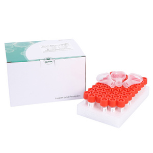 Medical Disposable  Saliva Sample Collection Kit with Funnel/ Tube