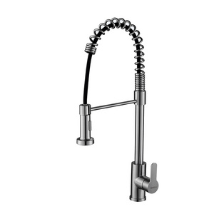 Ares Idealex Stainless Steel 304 Flexible 360 Rotation Spring Kitchen Sinks Taps Faucet with Pull Down Sprayer