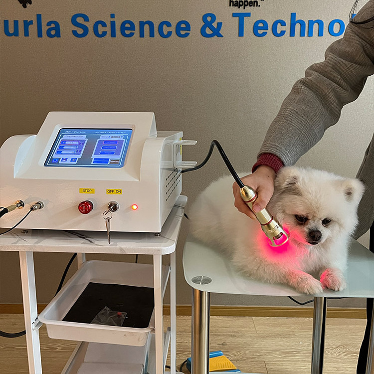 810 nm diode laser Veterinary for cat horse dog pain relief tecar therapy physiotherapy laser pain relief instrument