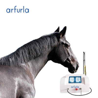 810 nm diode laser Veterinary for cat horse dog pain relief tecar therapy physiotherapy laser pain relief instrument