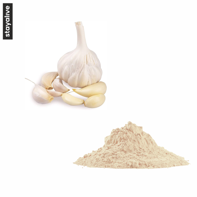 High Quality Dried Garlic Powder | The Essence OF Fresh Garlic Dehydrated Garlic Powder | Vegan | Seasonings