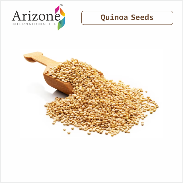 High Quality Dried White Quinoa Seeds Premium Grain Type | High Quality Dried White Quinoa Seeds