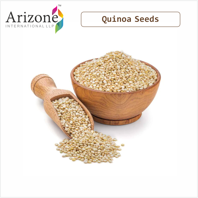 High Quality Dried White Quinoa Seeds Premium Grain Type | High Quality Dried White Quinoa Seeds