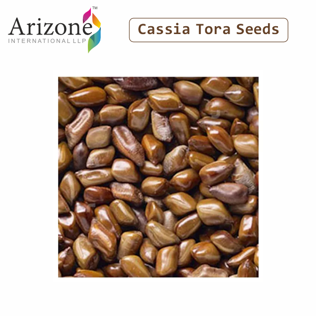 High Quality Cassia Tora Seeds Vegan and Ashwagandha Fenugreek and Black Pepper Granule Shape Dried through AD Process