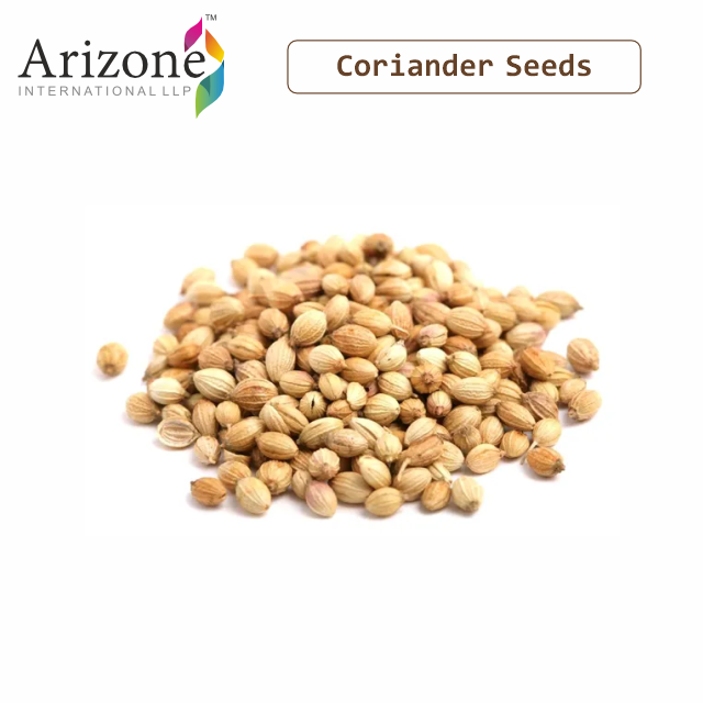 Best Quality Wholesale Pure and Organic Coriander Seeds for Bulk Buyer China special seasonings seeds spices whole coriander