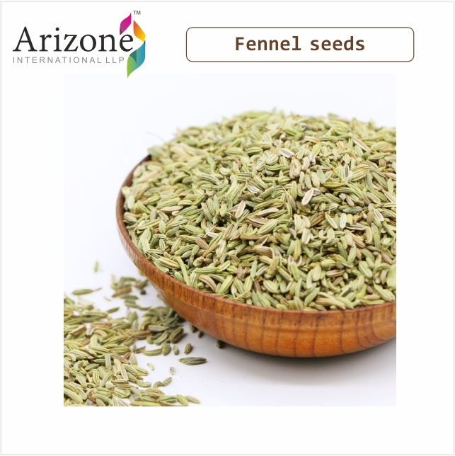 High Quality Certified Dried Fennel Seeds Raw Herb Spice from Singapore Elongated Shape after Advanced Drying Process