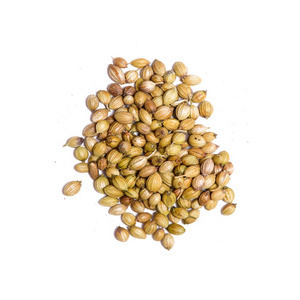 Best Quality Wholesale Pure and Organic Coriander Seeds for Bulk Buyer China special seasonings seeds spices whole coriander