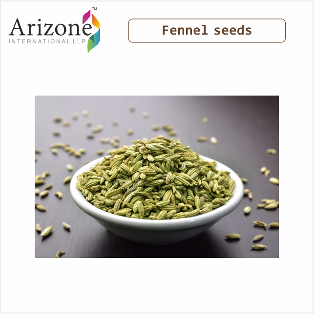 High Quality Certified Dried Fennel Seeds Raw Herb Spice from Singapore Elongated Shape after Advanced Drying Process