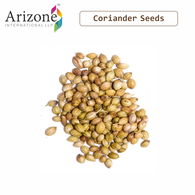 Best Quality Wholesale Pure and Organic Coriander Seeds for Bulk Buyer China special seasonings seeds spices whole coriander