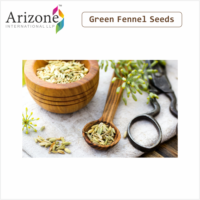 High Quality Natural Green Fennel Seeds Single Spice Manufactured in India Sweet and for Cloves Cinnamon Black Pepper