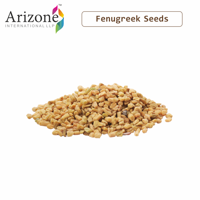 Good Quality Fenugreek Seeds For Hair Growth, All Natural Dried Indian Methi Seed For Cooking