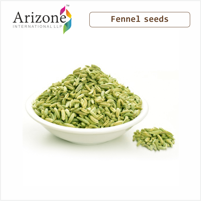 High Quality Certified Dried Fennel Seeds Raw Herb Spice from Singapore Elongated Shape after Advanced Drying Process