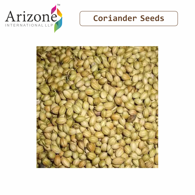 Best Quality Wholesale Pure and Organic Coriander Seeds for Bulk Buyer China special seasonings seeds spices whole coriander