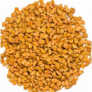 Good Quality Fenugreek Seeds For Hair Growth, All Natural Dried Indian Methi Seed For Cooking