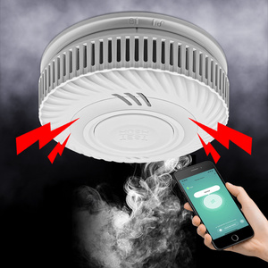 Photoelectric Sensor 85Db Fire Smoke Leak System Wireless Cigarette Wifi Tuya Smart Smoke Detector Fire Alarm