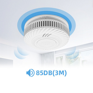 10 Year Lifespan Lithium Battery Operated Independent Smoke Detector EN14604 Wall Mounted Standalone Smoke Alarm