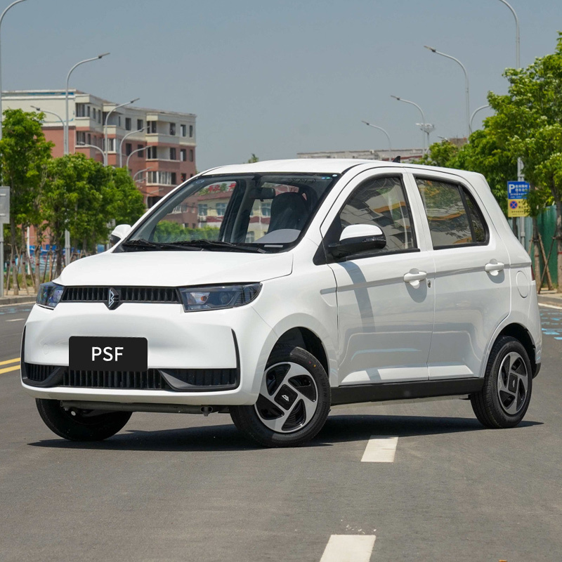 New Energy Vehicles Lingbao COCO electric car adult new car