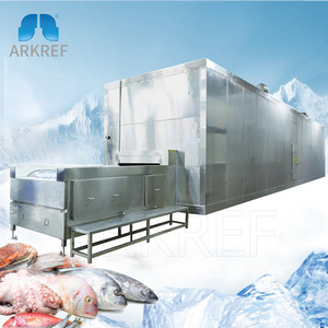 Individual Fluidized  Iqf Tunnel Freezer Machine Blast Quick Freezing (iqf) Tunnel Plate Freezer Machine Price