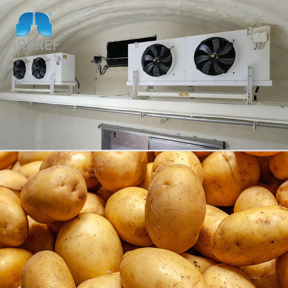 Arkref Potato And Onion Positive Cold Storage Room Warehouse Solutions With Bitzer Compressor Cold Room Manufacturer For Potato