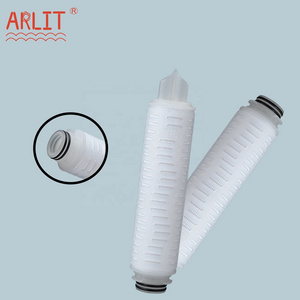 ARLIT 10 inches Absolute 0.2 micron Hydrophilic PTFE Pleated filter cartridge