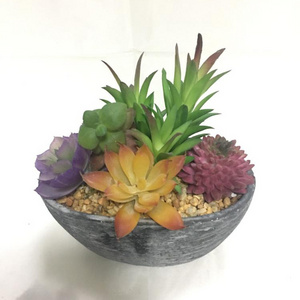 Artificial Mini Mixed Plants Succulent potted for office decor