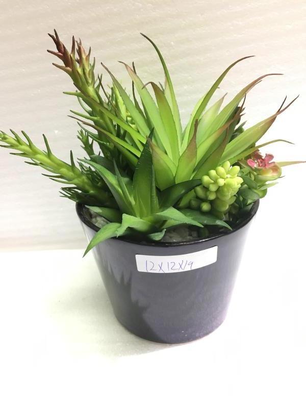 Artificial Mini Mixed Plants Succulent potted for office decor