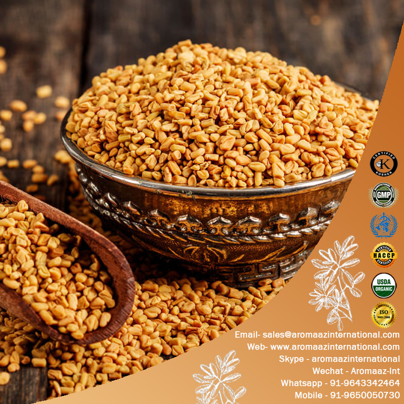 Buy Natural and 100% Organic Certified Fenugreek Oil Supply in Bulk used for candle making Buy Bulk & Save more now