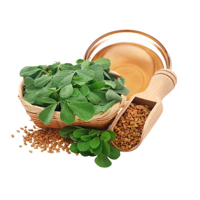 Buy Natural and 100% Organic Certified Fenugreek Oil Supply in Bulk used for candle making Buy Bulk & Save more now