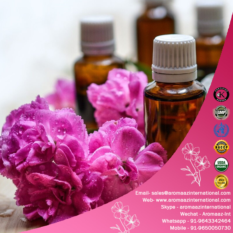 Rose Geranium Oil Skin Care Body Massage Oil 100% Pure Vegan Organic Face Rose Essential Oil Bulk Exporters