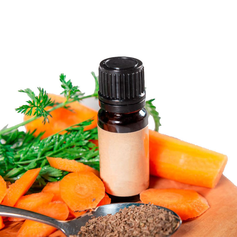 Carrot Seed Essential Oil Supply with skin Nourishing Properties 100% Pure Organic carrot oil for skin lightening