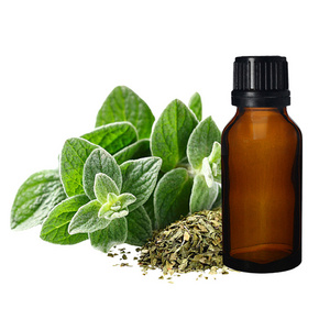 Wholesale Price Essential Oil Oregano Oil Bulk Manufacturer 100% Pure Organic Certified Oils for Aromatherapy