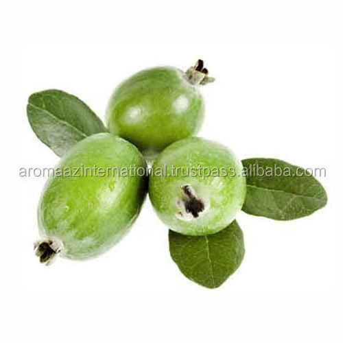 Buy Online Guava Seed Oil in Bulk