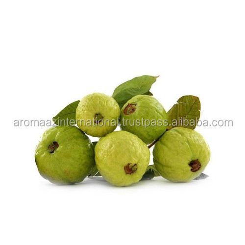 Organic Farmed 100% Natural Guava Seed Carrier Oil manufacturer and supplier in India