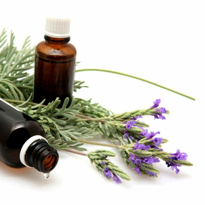 Lavender Fragrance Oil with Air Purifier Property Lavender Fragrance Oil Aromatherapy Cosmetics India Bulk Price