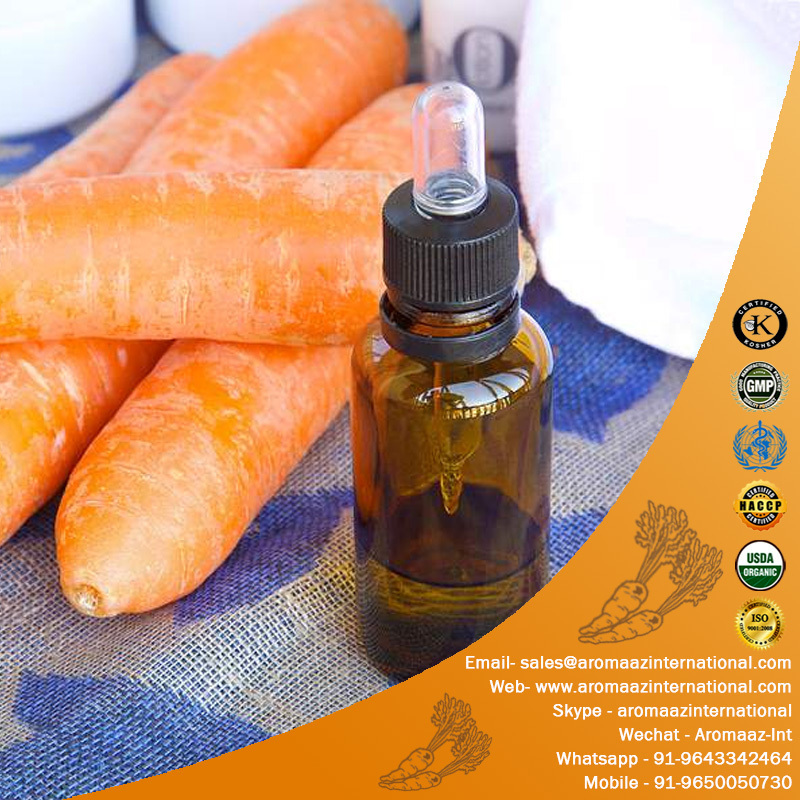 Carrot Seed Essential Oil Supply with skin Nourishing Properties 100% Pure Organic carrot oil for skin lightening