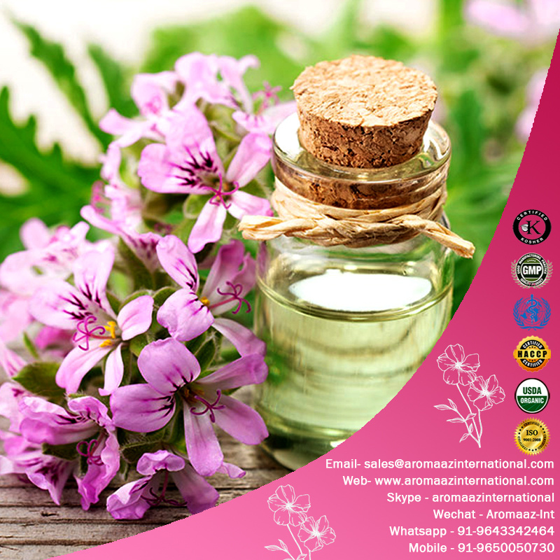 Rose Geranium Oil Skin Care Body Massage Oil 100% Pure Vegan Organic Face Rose Essential Oil Bulk Exporters