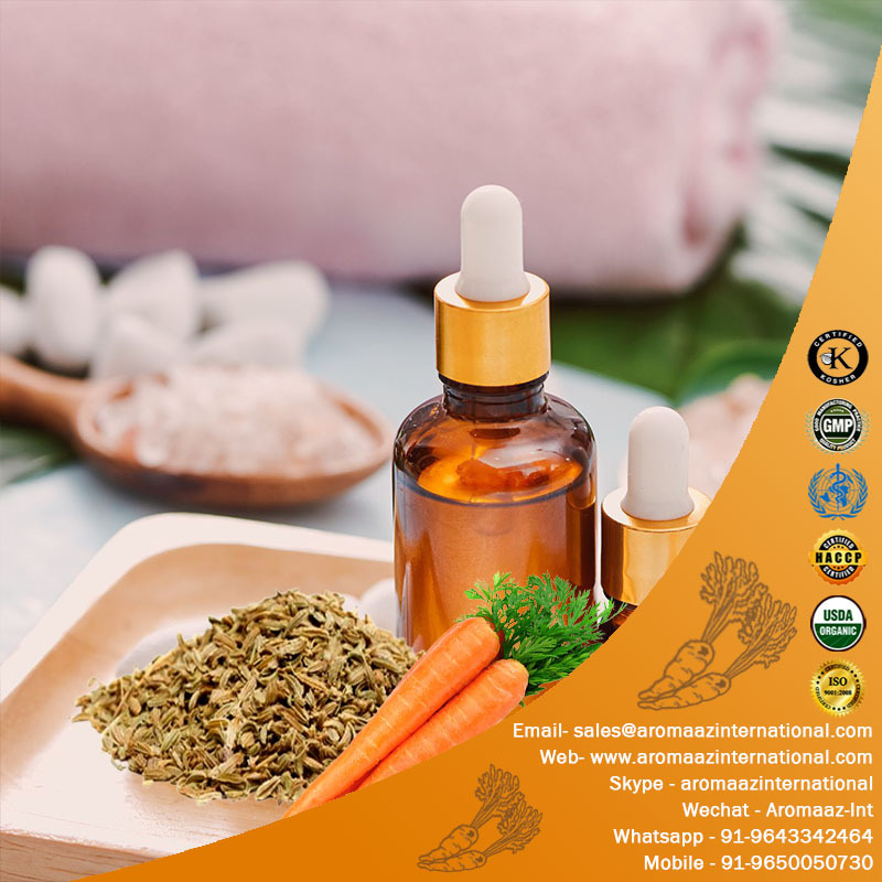 Carrot Seed Essential Oil Supply with skin Nourishing Properties 100% Pure Organic carrot oil for skin lightening