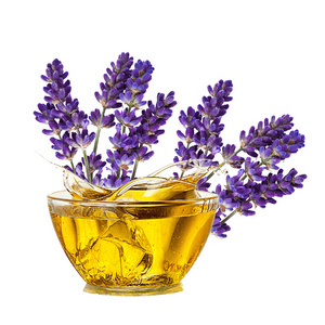 Lavender Fragrance Oil with Air Purifier Property Lavender Fragrance Oil Aromatherapy Cosmetics India Bulk Price