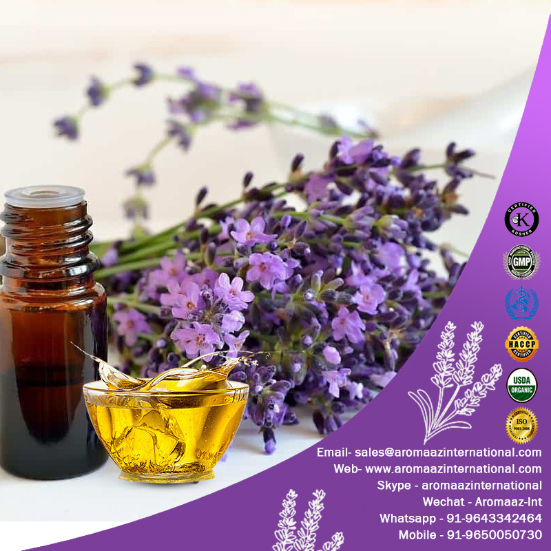 Lavender Fragrance Oil with Air Purifier Property Lavender Fragrance Oil Aromatherapy Cosmetics India Bulk Price