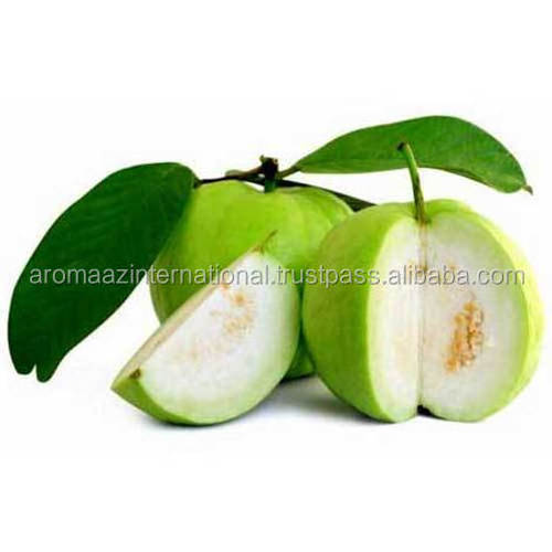 Buy Online Guava Seed Oil in Bulk