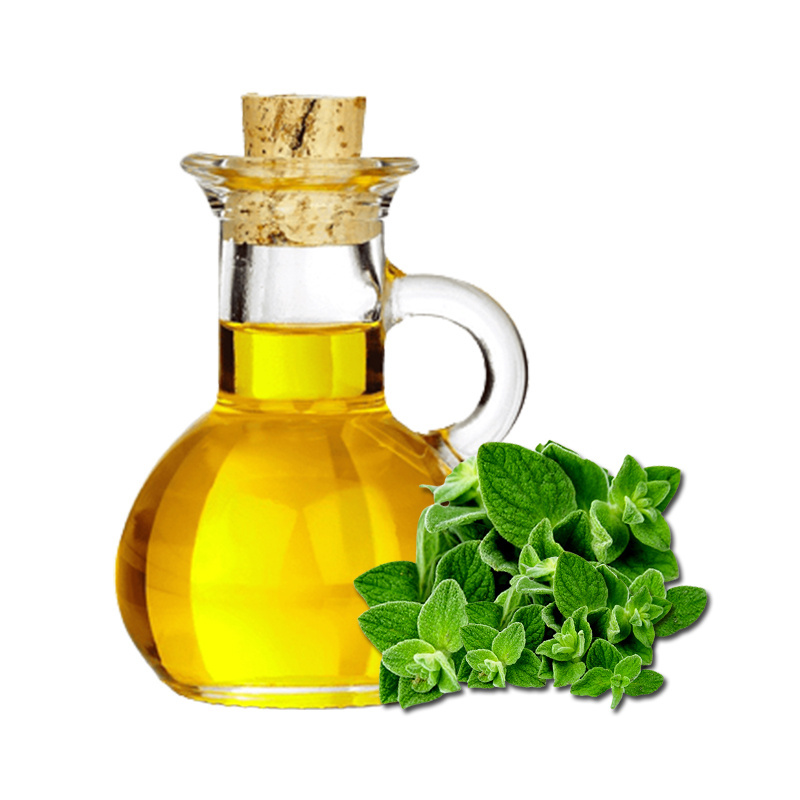 Wholesale Price Essential Oil Oregano Oil Bulk Manufacturer 100% Pure Organic Certified Oils for Aromatherapy