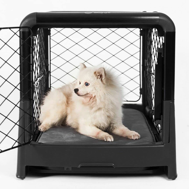 Collapsible  Portable Travel Dog Crate, Dog Kennel for Medium Dogs and Puppies