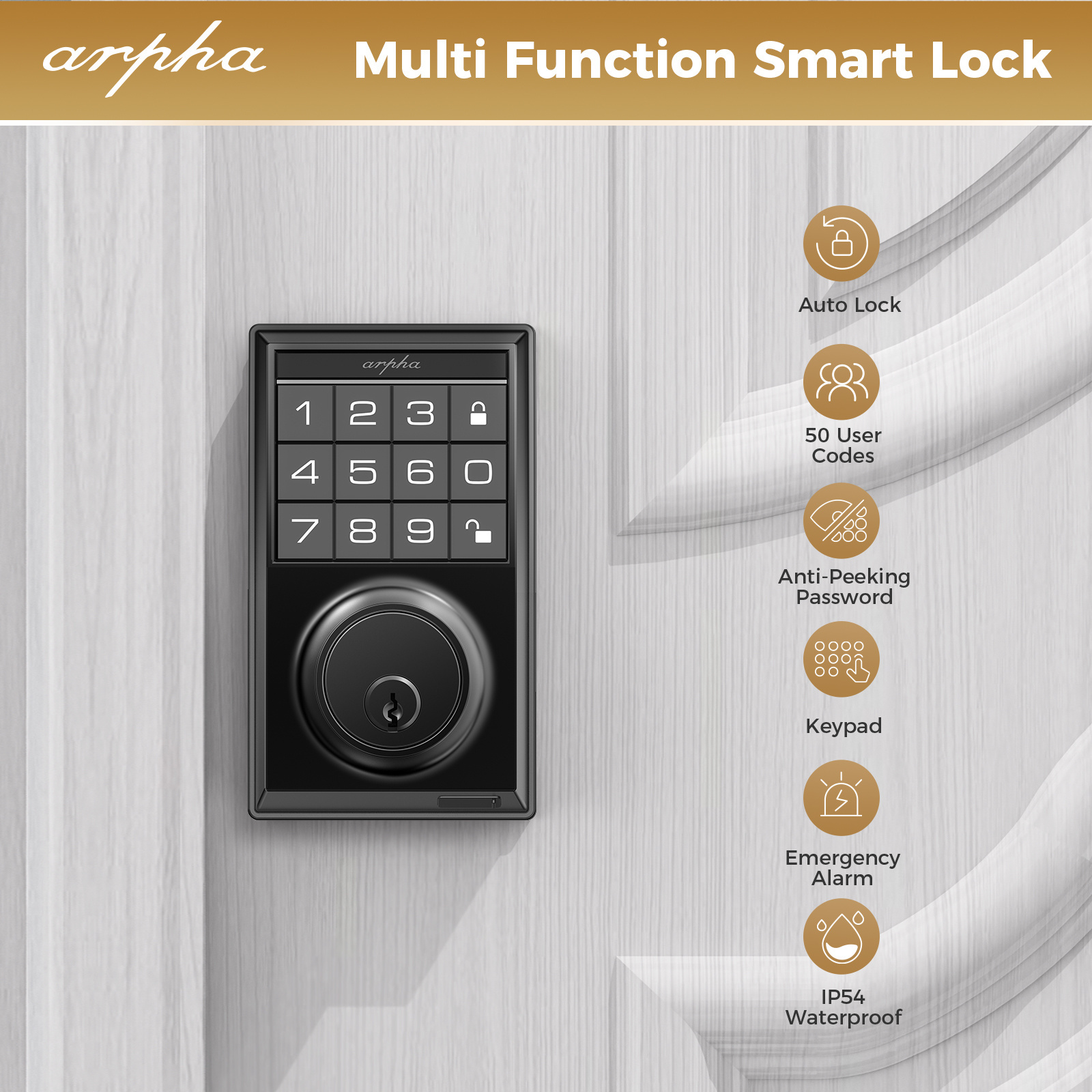 Arpha D100 US Standard Waterproof  Deadbolt Password/Key Unlock Silent Mortise Optional  Smart Lock